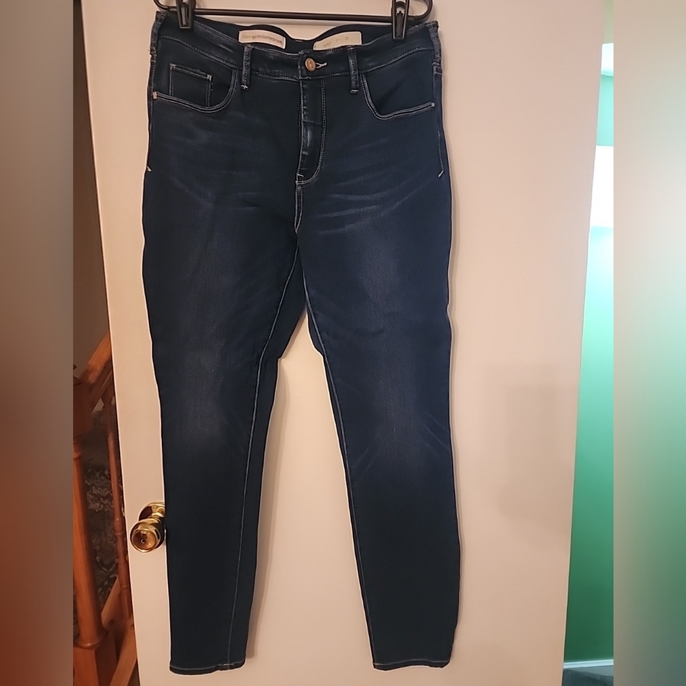 ANTHPROPOLOGIE Pilcro And The Letteepress Serif Blue Skinny Jeans